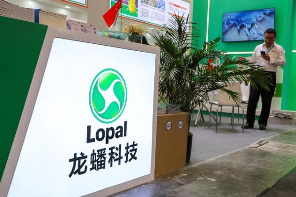 股票期货配资网 龙蟠科技将H股上市或募7亿港元 一年半亏14.54亿元负债率76.7%