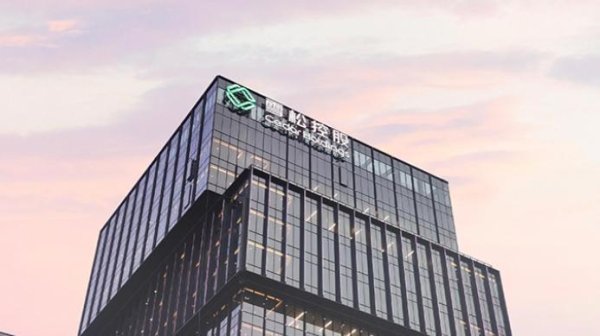 证券股票公司 雪松控股案拟于10月28日至11月2日开庭审理