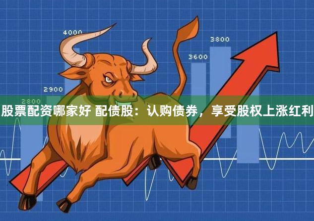 股票配资哪家好 配债股：认购债券，享受股权上涨红利