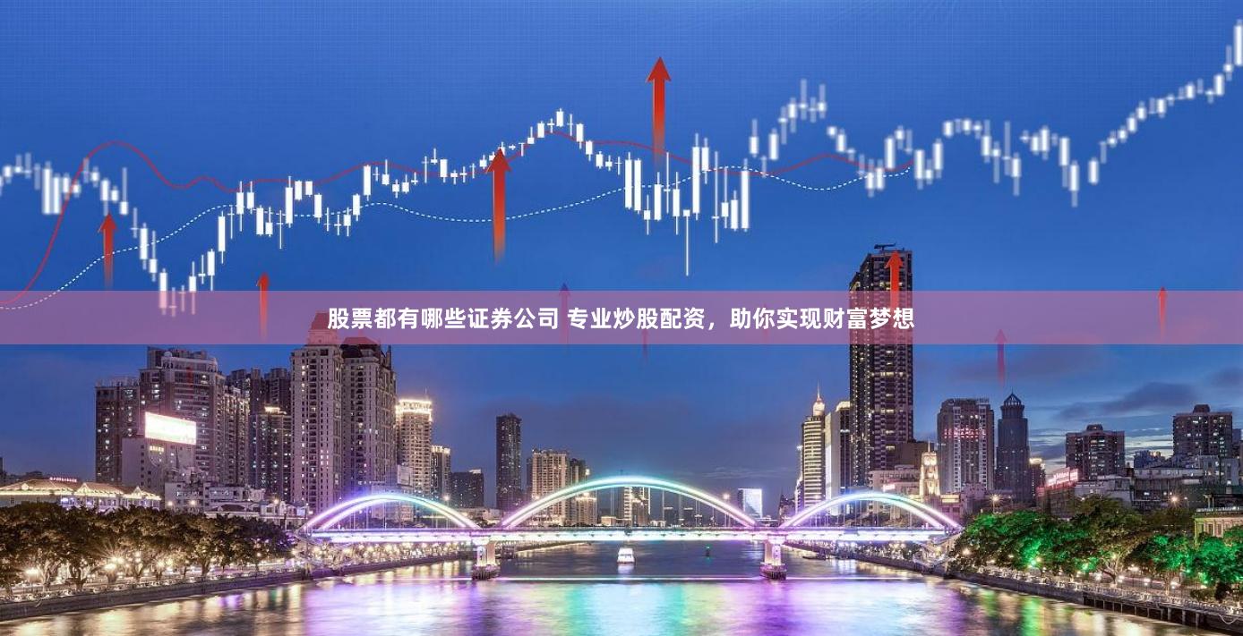 股票都有哪些证券公司 专业炒股配资，助你实现财富梦想