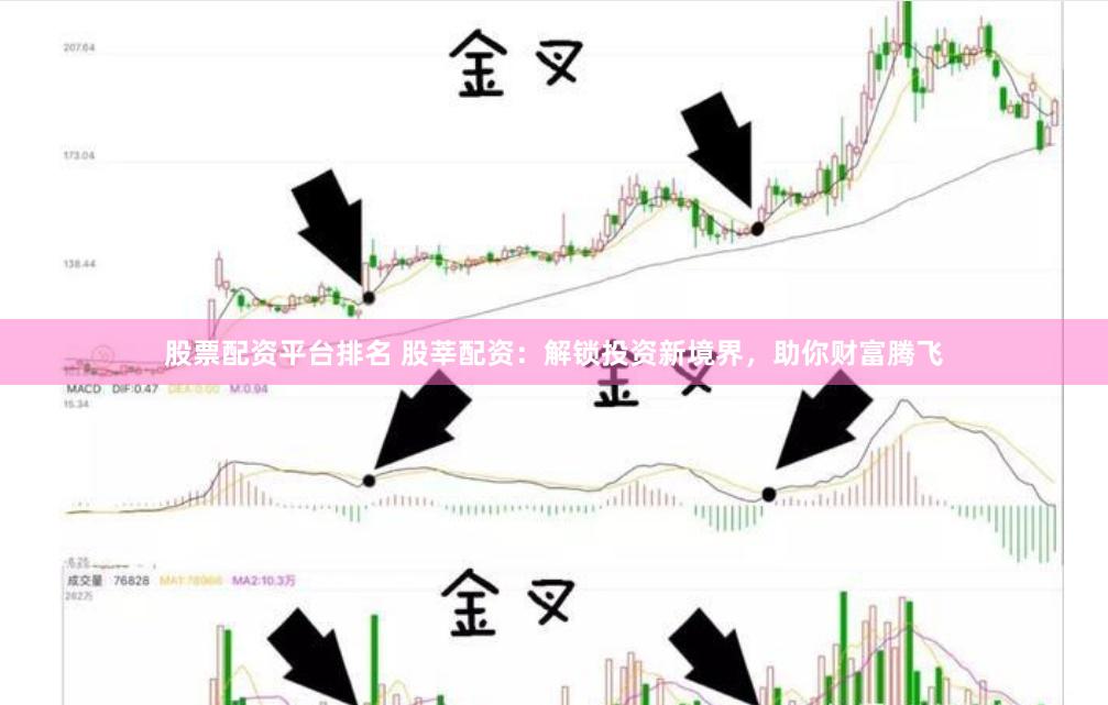 股票配资平台排名 股莘配资：解锁投资新境界，助你财富腾飞
