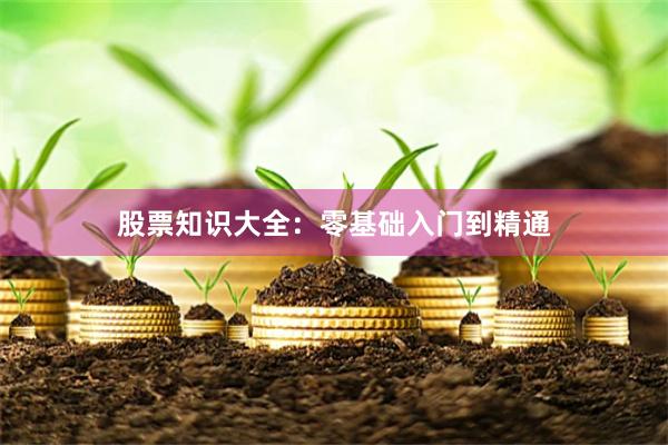 股票知识大全：零基础入门到精通