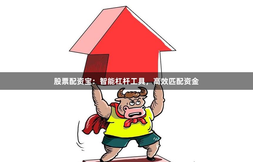 股票配资宝：智能杠杆工具，高效匹配资金