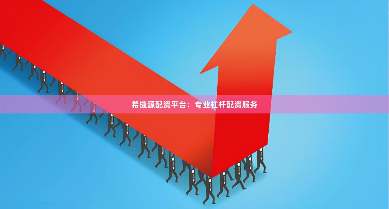 希捷源配资平台：专业杠杆配资服务